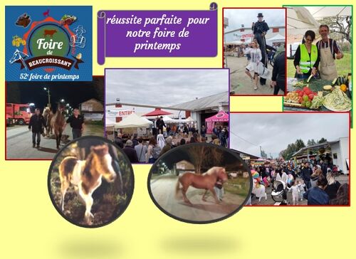 Foire de printemps : réussite parfaite