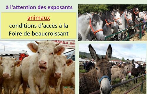 accès Foire pour animaux