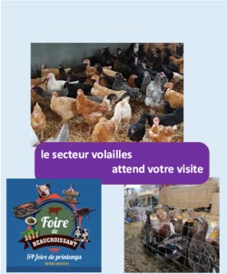 secteur volailles présent à la Foire