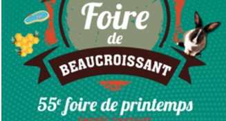 APPEL A B&Eacute;N&Eacute;VOLES - FOIRE DE PRINTEMPS 25 & 26 AVRIL 2026