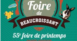 APPEL A B&Eacute;N&Eacute;VOLES - FOIRE DE PRINTEMPS 25 & 26 AVRIL 2026