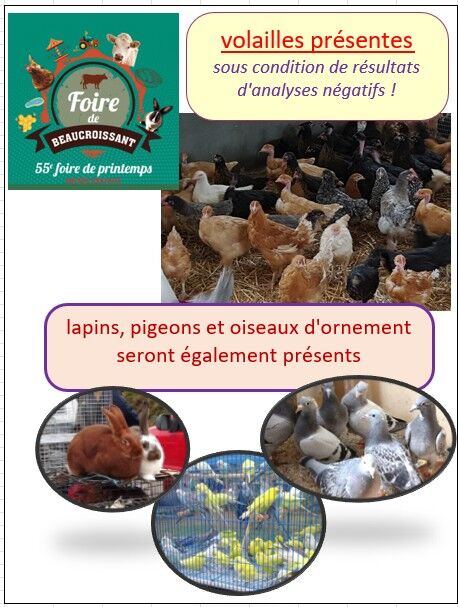 autorisation des volailles pendant la Foire