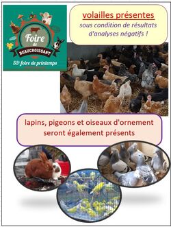 autorisation des volailles pendant la Foire