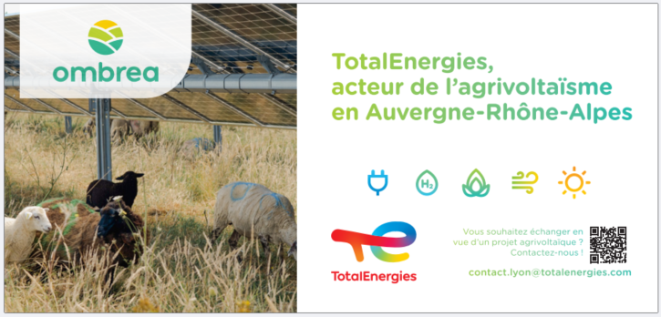 TotalEnergie TotalEnergie